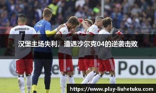 汉堡主场失利,遭遇沙尔克04的逆袭击败