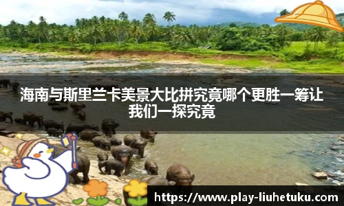 海南与斯里兰卡美景大比拼究竟哪个更胜一筹让我们一探究竟